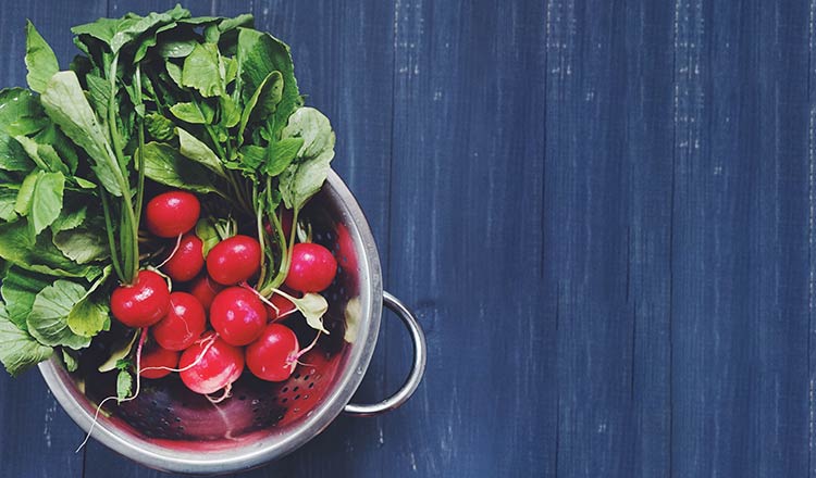 Colander filled with red radishes