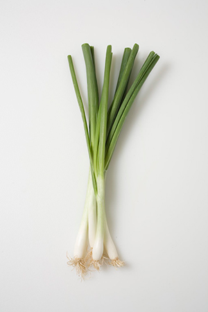 Scallions