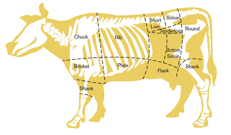 Cuts of beef diagram