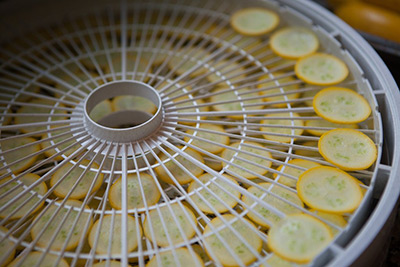 Squash in a dehydrator