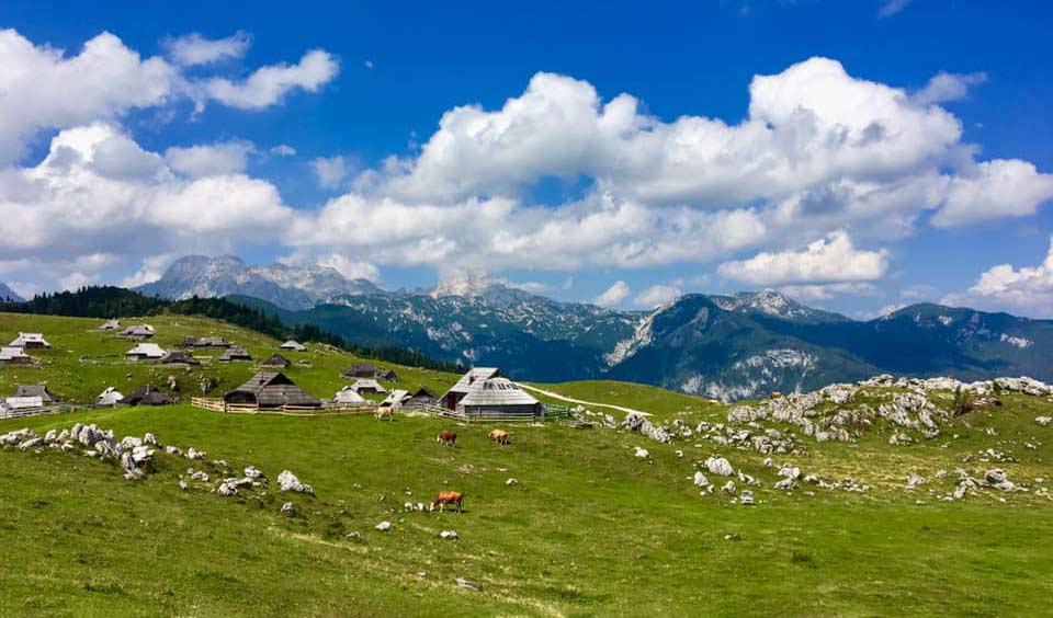 Velika Planina