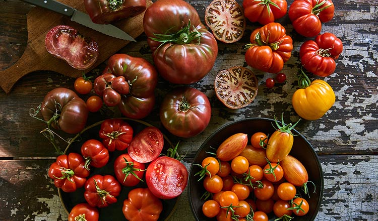 landscape of heirloom tomatoes