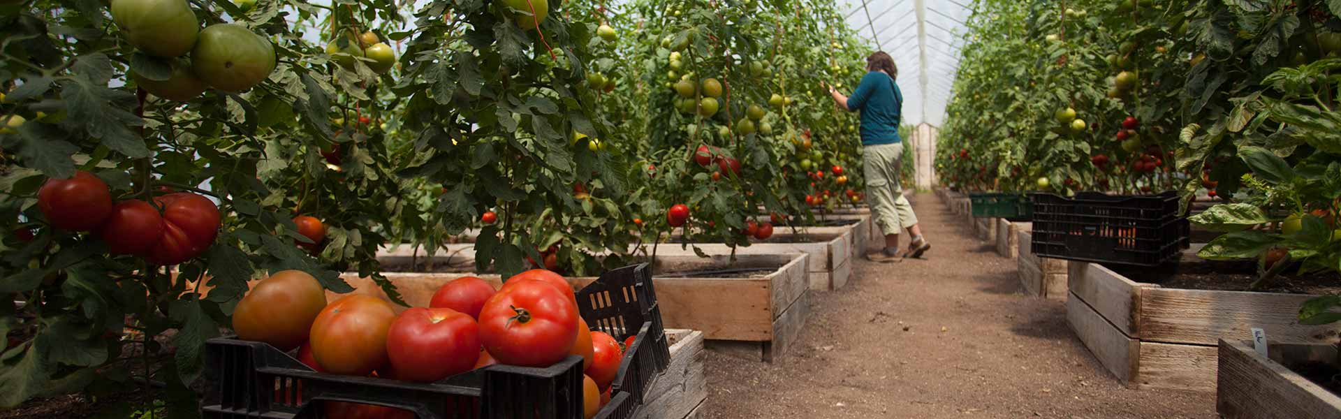 Things to do in Hudson Valley