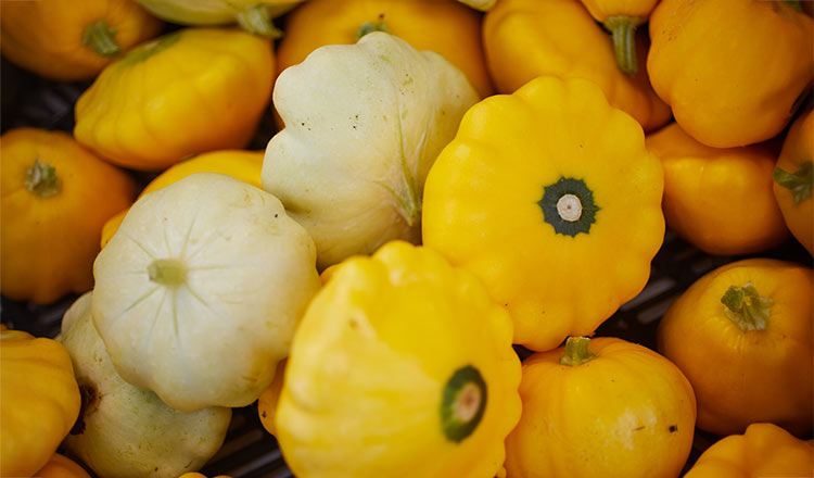 Pattypan squash