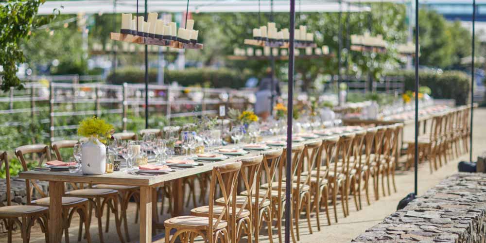 CIA at Copia Spaces - Copia Culinary Gardens