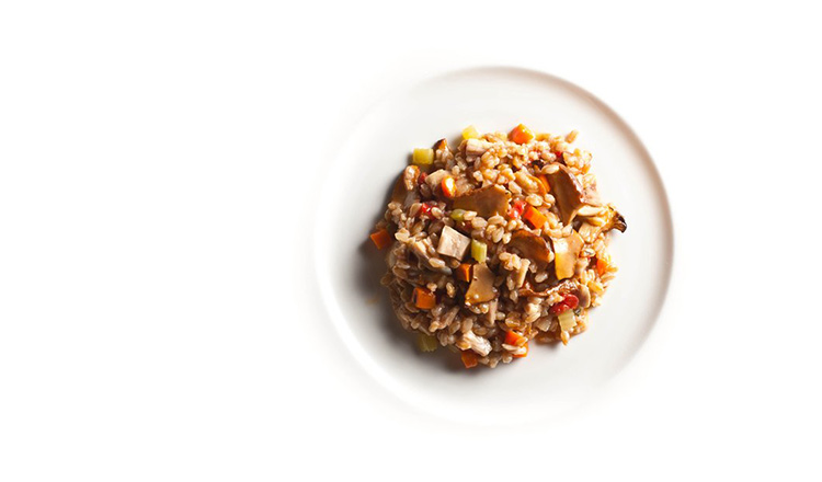 Farro with Chicken and Chanterelle Ragu