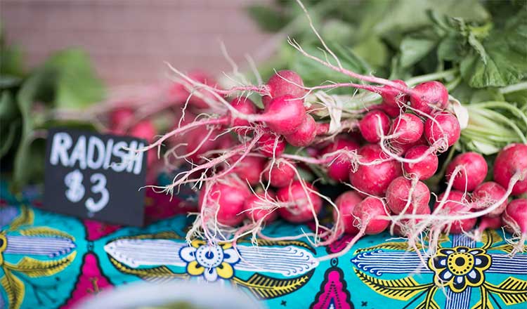 Radishes at the farmers' market