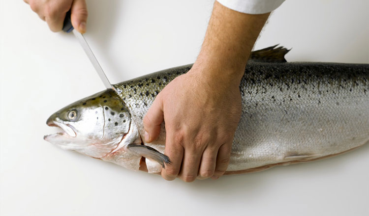 Fish being butchered