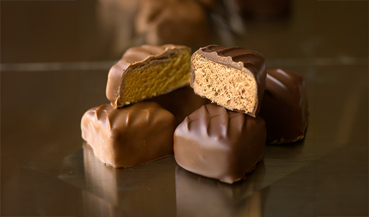 Peanut butter nougat coated in chocolate