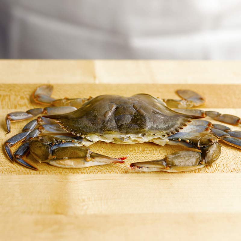 Cleaning soft-shell crab