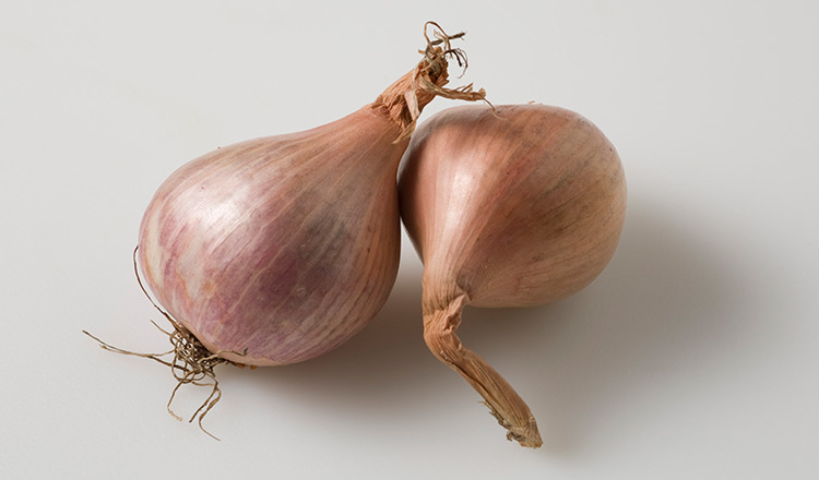Shallots