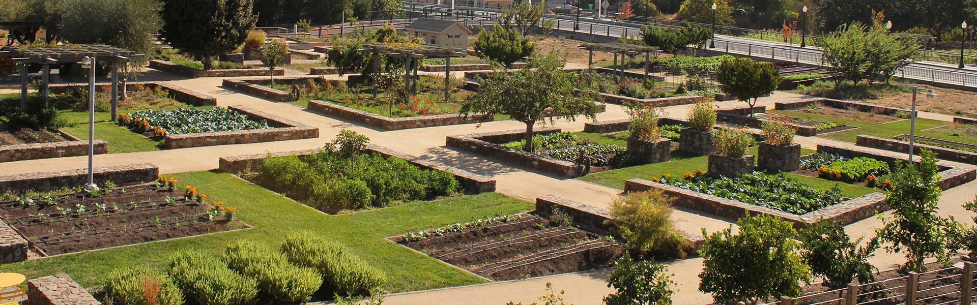 Lush rows of vegetables and herbs growing in CIA at Copia’s culinary garden in Napa.