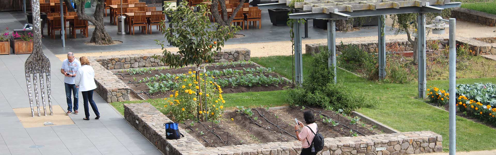 Lush culinary garden at CIA at Copia with rows of seasonal vegetables, herbs, and flowers.