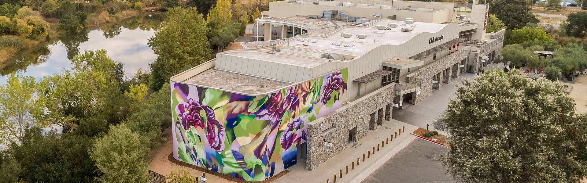Colorful outdoor mural at CIA at Copia inspired by the culinary garden, featuring abstract lettuce artwork.