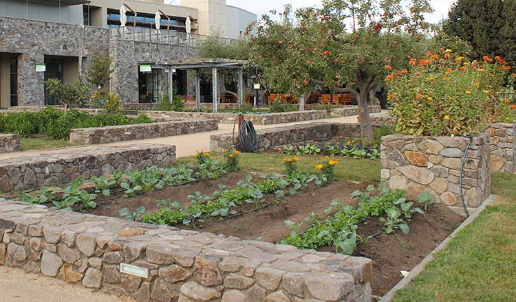Culinary Garden at Copia The Culinary Gardens at CIA at Copia in Napa, CA.