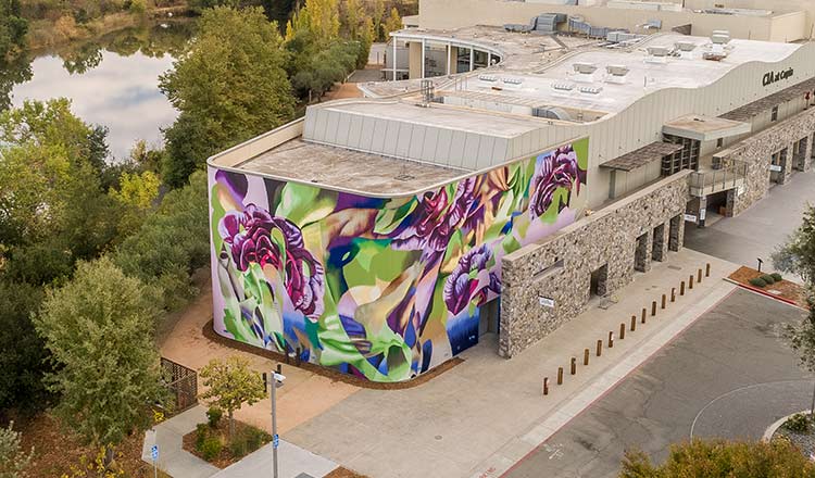 “The Garden” Mural, by Hueman at CIA at Copia in Napa, CA.
