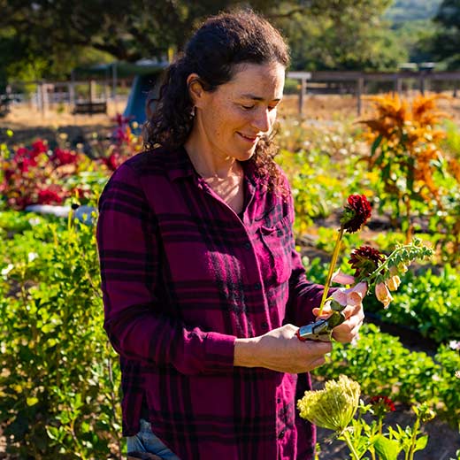 Rachel Kohn Obut, consulting gardener at CIA at Copia in Napa, CA Rachel Kohn Obut, consulting gardener at CIA at Copia in Napa, CA.
